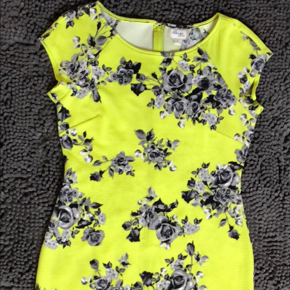 NWOT Floral Bodycon Midi Dress